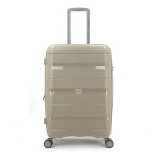 Decent Straight Line Spinner Medium 65 cm Champagne