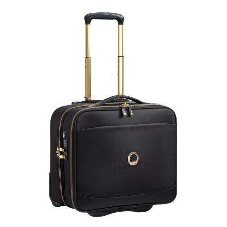 Delsey montrouge backpack review cheap