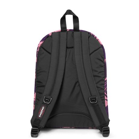 Pinnacle glow black sale