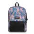 Eastpak Pinnacle Rugzak Brize Filter Pink