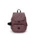 Kipling City Pack S Backpack Dancing Bouquet