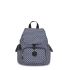 Kipling City Pack Mini Backpack Brush Stripes