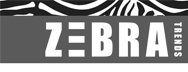 zebratrends